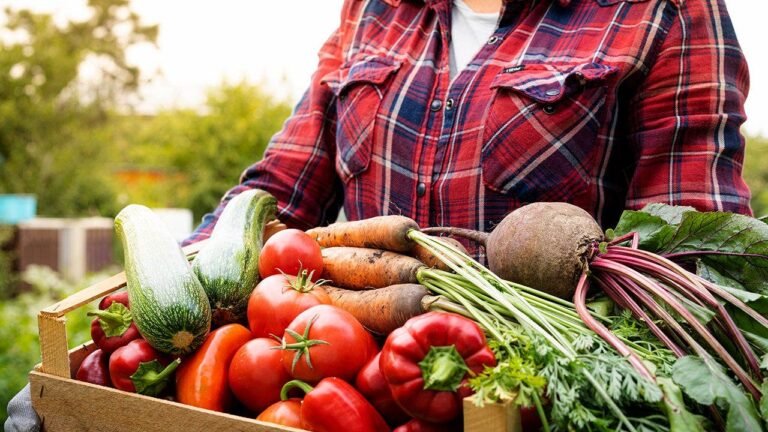 Biblical diet gains popularity as Christians seek Scripture-based nutrition