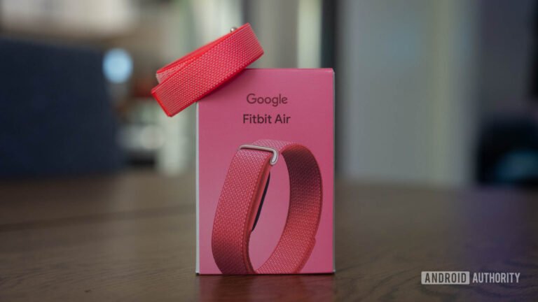 Fitbit Air Berry with Box Closer