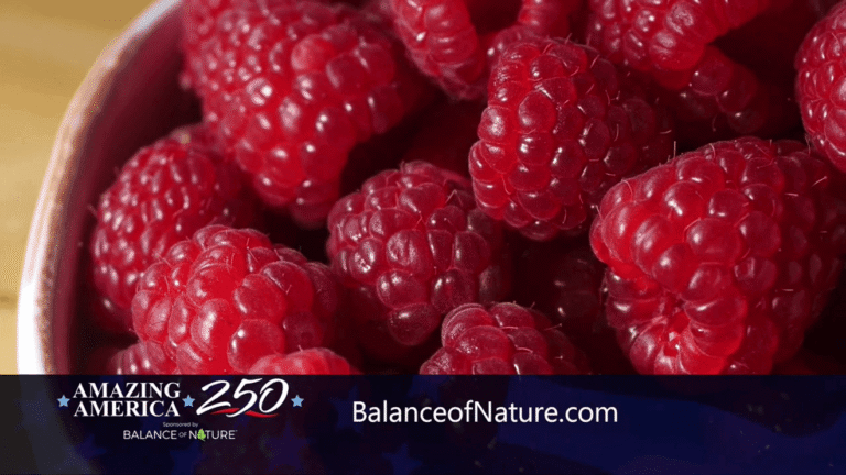 Lifestyle Contributor Kari Hawker Diaz sits down with Balance of Nature to explore balance station icon