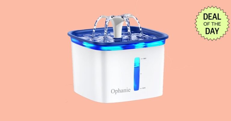 The Ophanie Pet Fountain Is Under $17 at Walmart Right Now