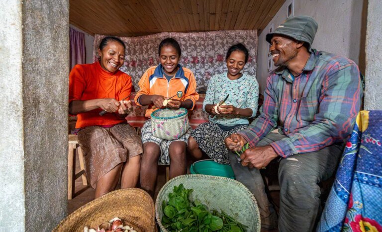 The missing link in Madagascar’s nutrition may be community, not food