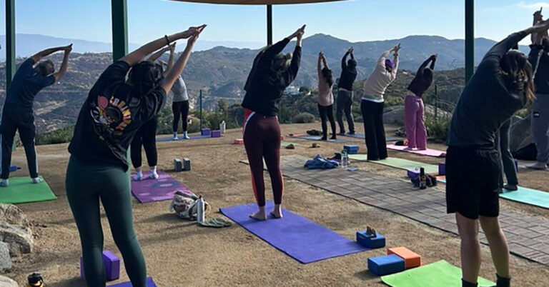 Wellness series offered for seniors
