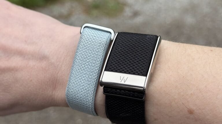 Which Fitness Band Is Better: Fitbit Air vs. Whoop
