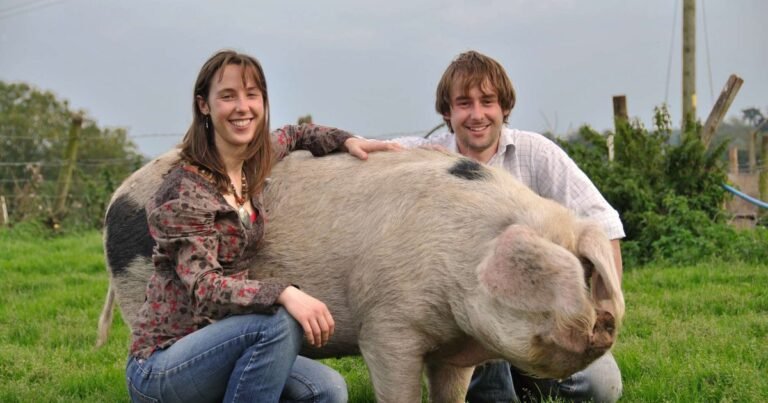 How 8,000 people came together to save a farm: 3 communities taking control of their food