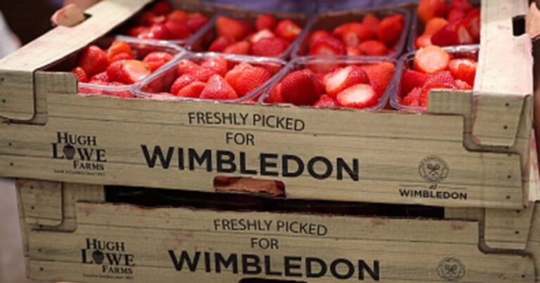 The Wimbledon effect: the astonishing way supermarkets track matches to sell more strawberries