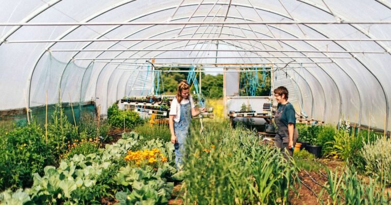 Why some of Britain’s best restaurants have started growing their own food
