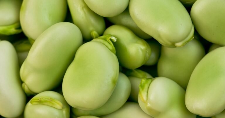 How to cook broad beans How to cook broad beans