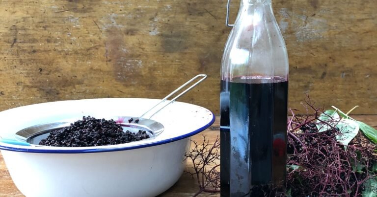 How to pick and cook elderberries