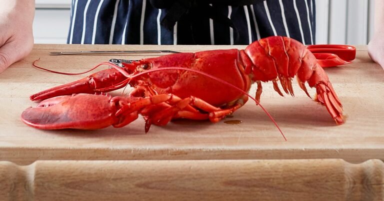 The ultimate guide to lobster The ultimate guide to lobster
