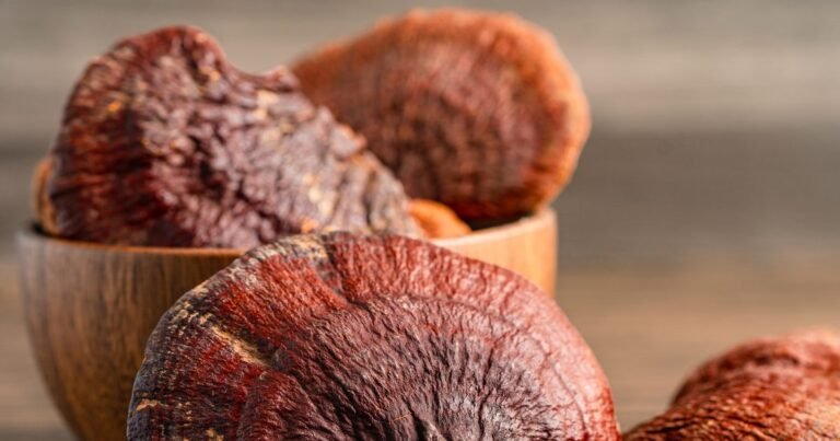 Top 10 benefits of Reishi mushrooms