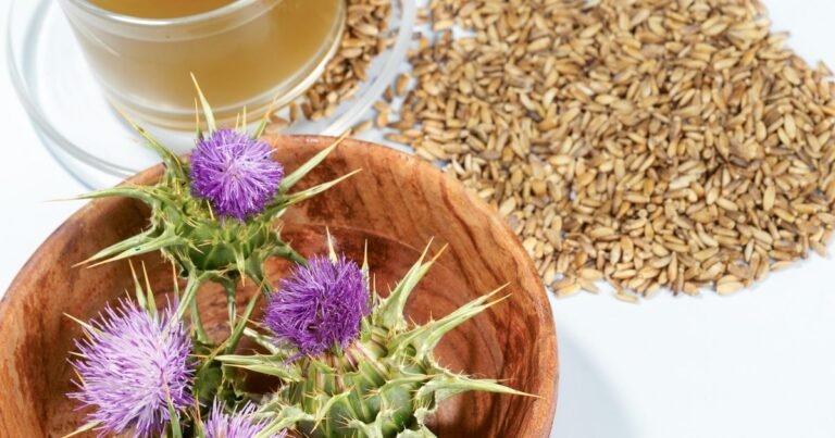 Top 10 benefits of milk thistle Top 10 benefits of milk thistle